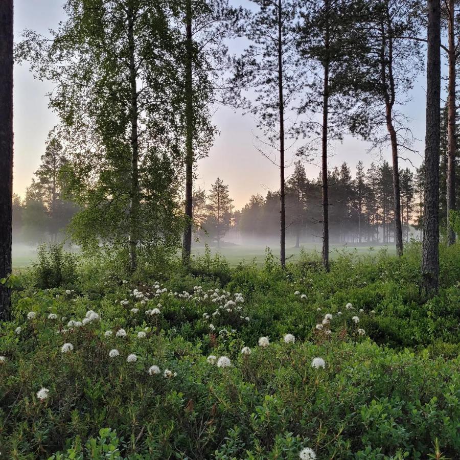 Siikavilla, Siikajoki Екстер'єр фото